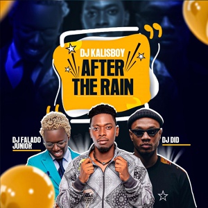 Обложка для Dj kalisboy, DJ FALADO JUNIOR, DJ Did - AFTER THE RAIN