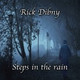Обложка для Rick Dibny - Light Rain on The Car Windshield (Rec 2)