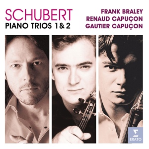 Обложка для Renaud Capuçon, Gautier Capuçon, Frank Braley - Schubert: Piano Trio No. 2 in E-Flat Major, Op. 100, D. 929: I. Allegro