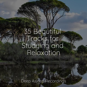 Обложка для Brain Study Music Guys, Bedtime Baby, Namaste Healing Yoga - Majestic Melodies