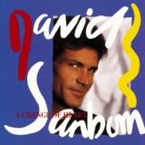 Обложка для David Sanborn - The Dream