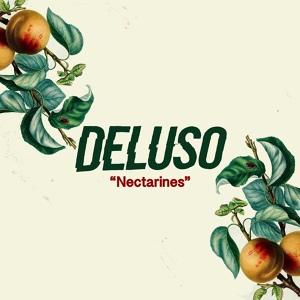 Обложка для Deluso - Nectarines