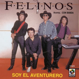 Обложка для Los Felinos - Jingo