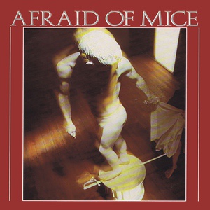 Обложка для Afraid Of Mice - The Important Man