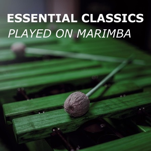 Обложка для Marimba Guy, Classical Instrumentals, Classical Music Radio - Carnival of Venice