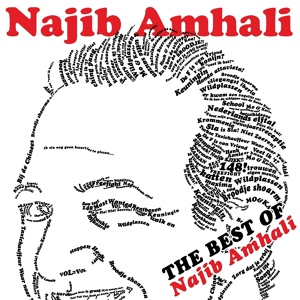 Обложка для Najib Amhali - Vriendin