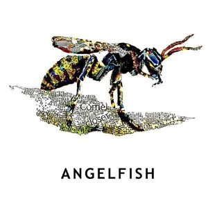 Обложка для Angelfish - Like Daylight