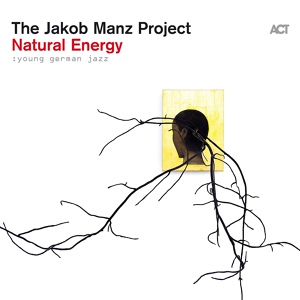 Обложка для Jakob Manz, The Jakob Manz Project - How High Is the Sky