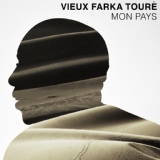 Обложка для Touré Vieux Farka - Future