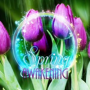Обложка для Spring Awakening Music Resort - Relaxing Music (New Age Music)