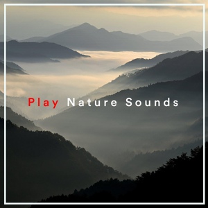 Обложка для Rain Sounds & Nature Sounds - Rain Sounds Long
