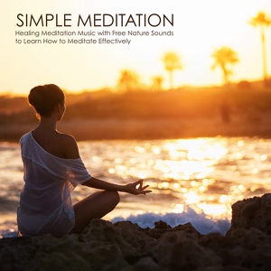 Обложка для Meditation Club - Vipassana Meditation Technique