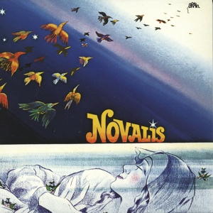 Обложка для Novalis - Dronsz