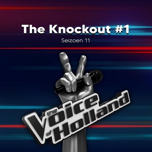 Обложка для The voice of Holland, Shanelle de Lannoy - Ain't Nobody