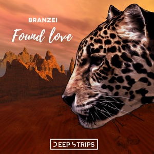 Обложка для Branzei - Found Love
