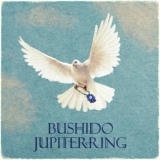 Обложка для Bushido - Jupiterring