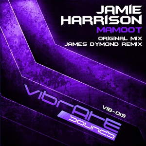 Обложка для Jamie Harrison - Mamoot (James Dymond Remix)