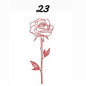 Обложка для Tyla Lee - 23 Roses