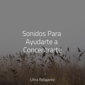Обложка для Canción de cuna, Sons da natureza HD, Canciones Infantiles Para Niños - Música de Meditación