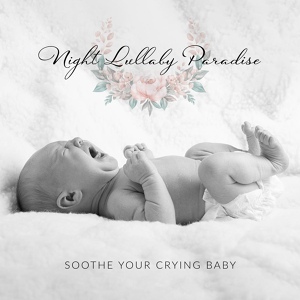 Обложка для Calming Water Consort / Baby Sleep Lullaby Academy - Healing Bedtime Music