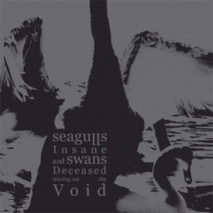 Обложка для Seagulls Insane and Swans Deceased Mining Out the Void - I