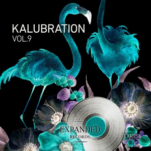 Обложка для Kalubration - Still in House
