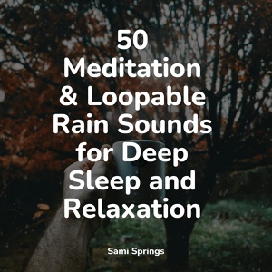 Обложка для Lluvia, Sound of Rain, Chakra Balancing Sound Therapy - Gentle Campfire
