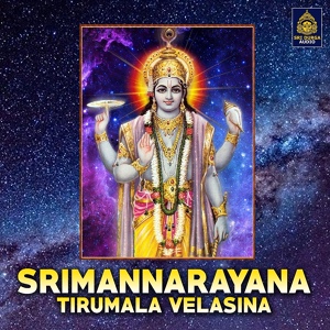 Обложка для Sriramachandra Murthy, Lasya Mayuka, Thadepalli Srivani - Srimannarayana Tirumala Velasina