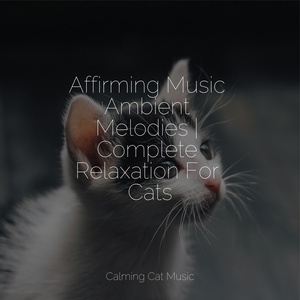 Обложка для Music for Cats Project, RelaxMyCat, Cat Music - Calm