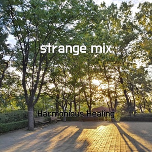 Обложка для Harmonious Healing - strange mix