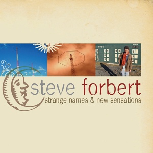 Обложка для Steve Forbert - Something Special