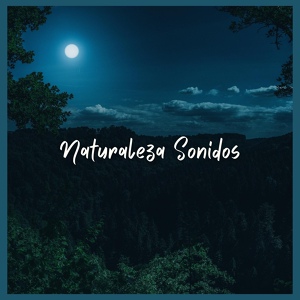 Обложка для Sonido del Bosque y Naturaleza - Naturaleza Sonidos (parte cuarenta y uno)