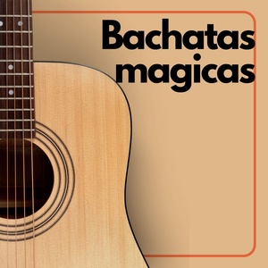 Обложка для El Chaval de la Bachata - La Tuve Que Botar