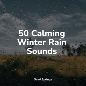 Обложка для Rainforest, Rain Sound Studio, Deep Sleep Meditation - Relaxing Storm (Rain and Thunder)