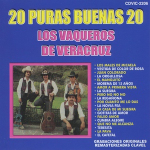 Обложка для Los Vaqueros De Veracruz - Vestida de Color de Rosa