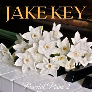 Обложка для Jake Key - Suspended Melodies