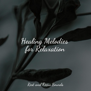 Обложка для Binaural Beats Isochronic Tones Lab, Tonal Meditation Collective, Massage - Heavenly Harmony