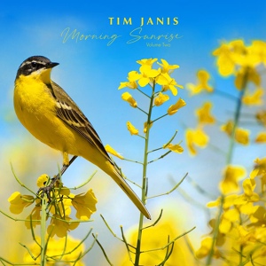 Обложка для Tim Janis - Harvest Moon