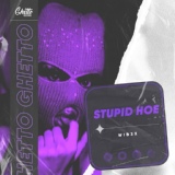 Обложка для WIB3X - Stupid Hoe