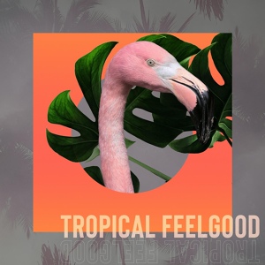 Обложка для Charles Michael Brotman, Josh Stephens, Chaz Umamoto, Daniel Lyons - Tropical Feelgood