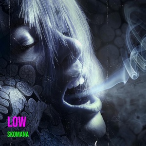 Обложка для Skomana - Low