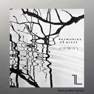 Обложка для Pellon - Harmonies of Glass (Mihai Popoviciu Remix)
