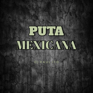 Обложка для Dj Raulito - Puta Mexicana