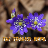 Обложка для Сергей Грищук - ТЫ ТОЛЬКО ВЕРЬ