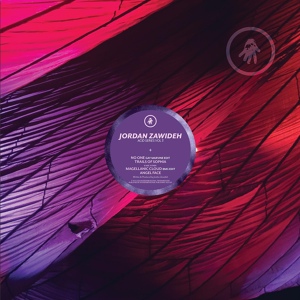 Обложка для Jordan Zawideh - Magellanic Cloud (BMG Edit) (BMG)