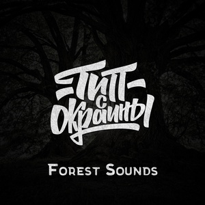 Обложка для Тип с окраины - Forest Sounds