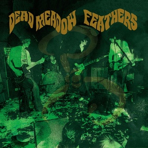 Обложка для Dead Meadow - Let's Jump In
