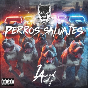 Обложка для Lord Andy - Perros Salvajes