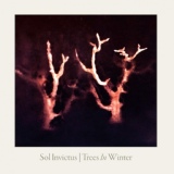 Обложка для Sol Invictus - Trees in Winter