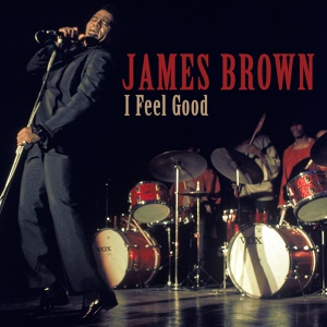 Обложка для James Brown - Papas Got a Brand New Bag